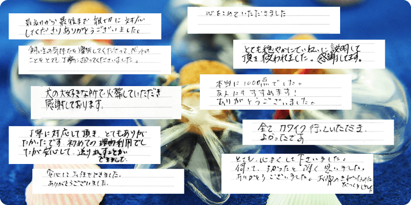 お客様の声5