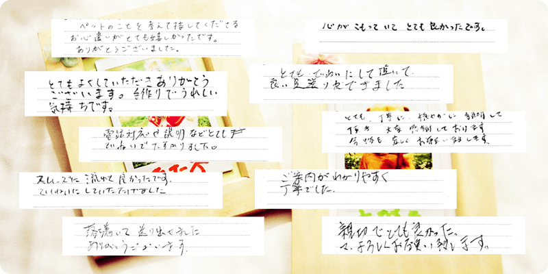 お客様の声9