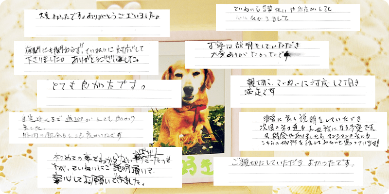 お客様の声14