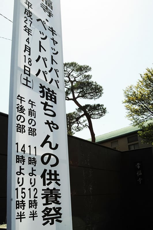 「春らしいお天気でした・・・」