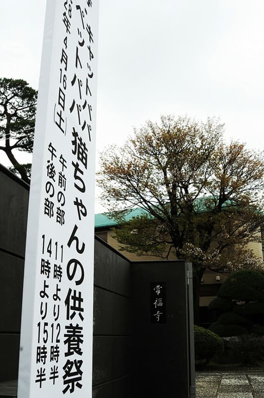「猫ちゃんの供養祭エントランス」
