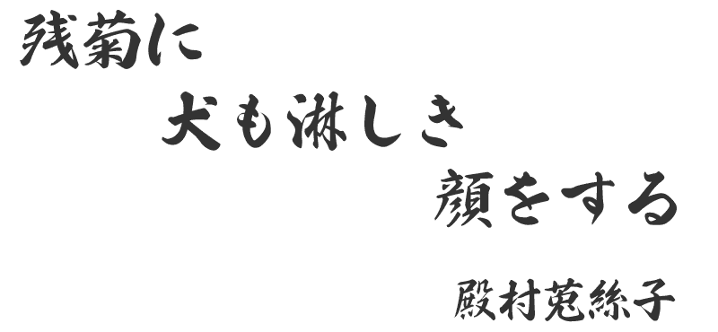 残菊に犬も淋しき顔をする