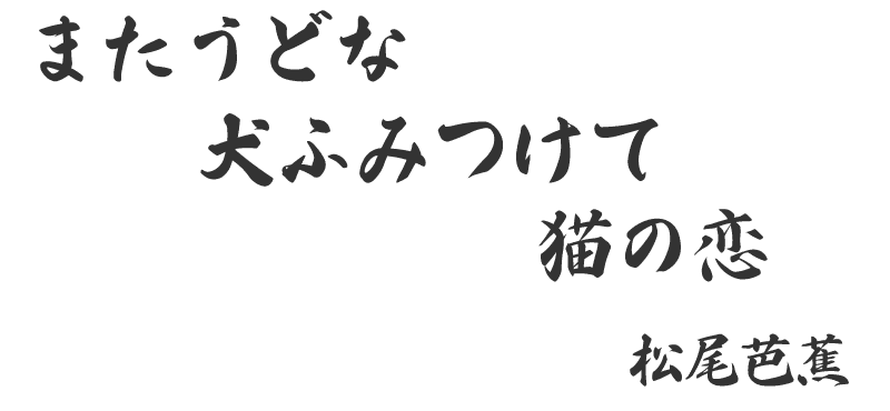 またうどな犬ふみつけて猫の恋