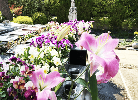 春風に吹かれて・・